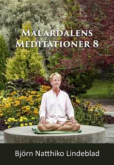 Mälardalens Meditationer 8