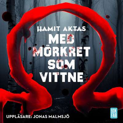 Med mörkret som vittne - Hamit Aktas.