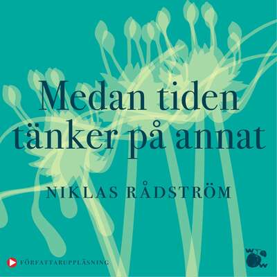 Medan tiden tänker på annat - Niklas Rådström.