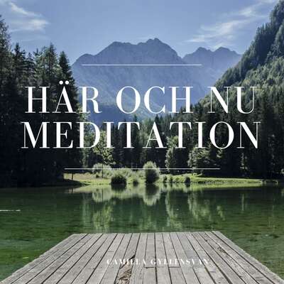 Meditation - Här och nu - Camilla Gyllensvan.