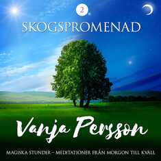 Meditation – Skogspromenad