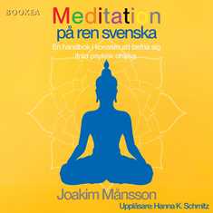 Meditation på ren svenska : en handbok i konsten att befria sig ifrån psykisk ohälsa