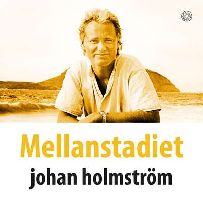 Mellanstadiet - Johan Holmström.