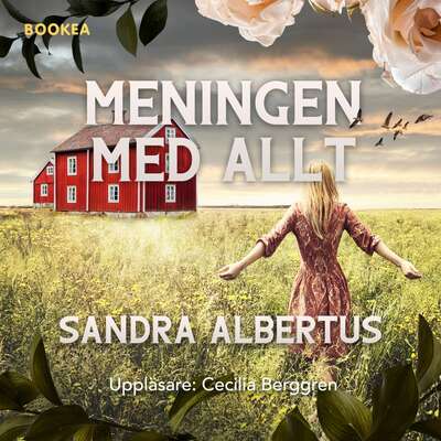 Meningen med allt - Sandra Albertus.