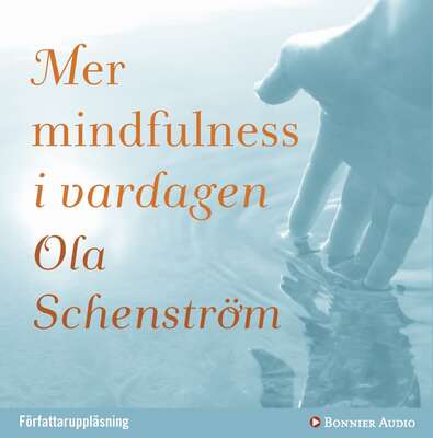 Mer mindfulness i vardagen - Ola Schenström.