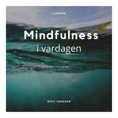 Mindfulness i vardagen - Rolf Jansson.