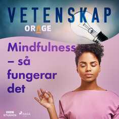 Mindfulness – så fungerar det