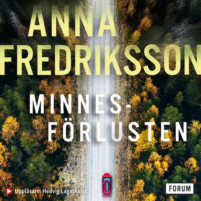 Minnesförlusten - Anna Fredriksson.