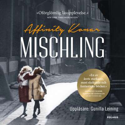 Mischling - Affinity Konar.