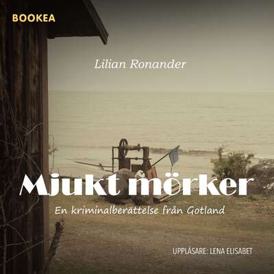 Mjukt mörker - Lilian Ronander.