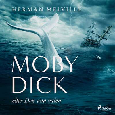 Moby Dick eller den vita valen - Herman Melville.