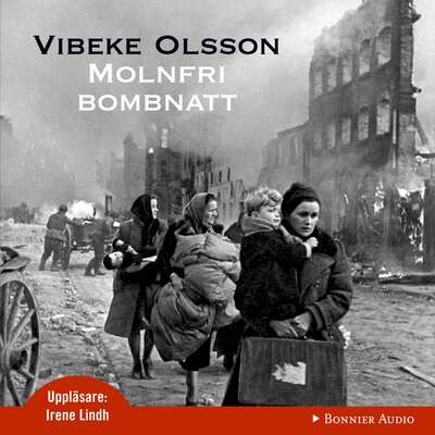 Molnfri bombnatt - Vibeke Olsson.