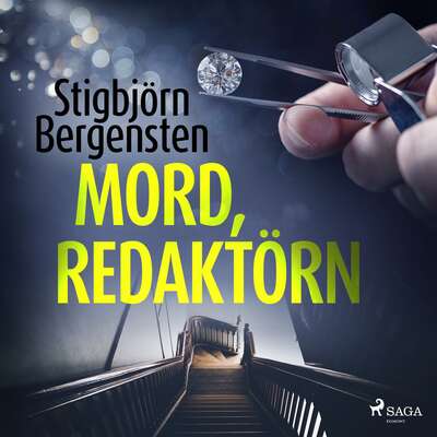 Mord, redaktörn - Stigbjörn Bergensten.