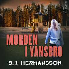 Morden i Vansbro