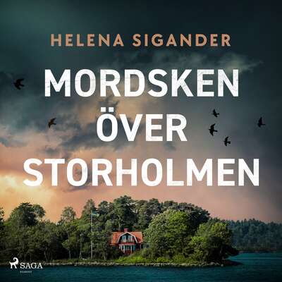 Mordsken över Storholmen - Helena Sigander.