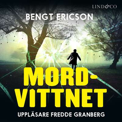 Mordvittnet - Bengt Ericson.