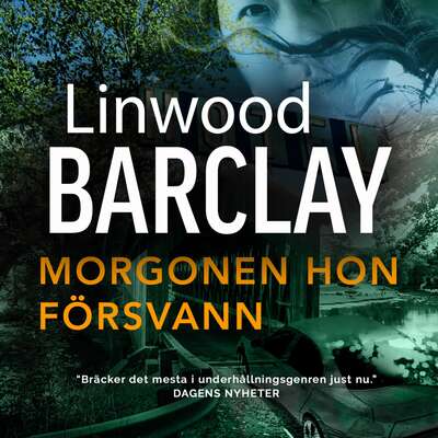 Morgonen hon försvann - Linwood Barclay.