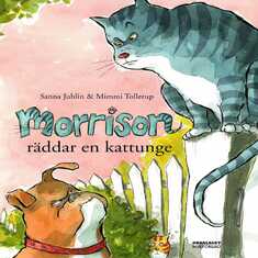 Morrison räddar en kattunge