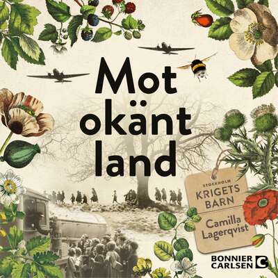 Mot okänt land - Camilla Lagerqvist.