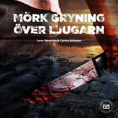 Mörk gryning över Ljugarn