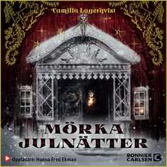 Mörka julnätter