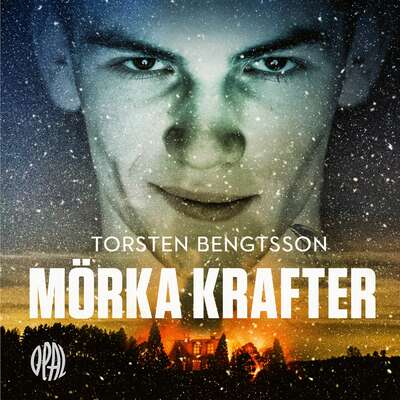 Mörka krafter - Torsten Bengtsson.