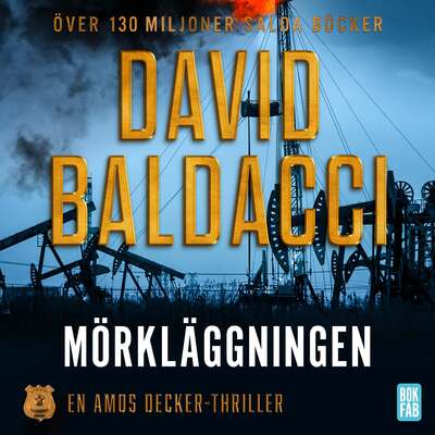 Mörkläggningen - David Baldacci.