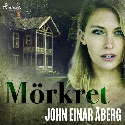 Mörkret - John Einar Åberg.