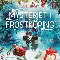 Mysteriet i Frostköping – Lucka 17