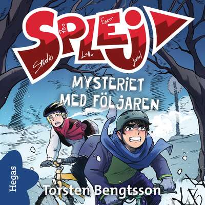 Mysteriet med följaren - Torsten Bengtsson.