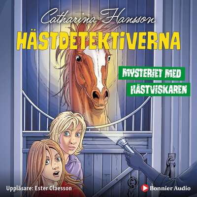 Mysteriet med hästviskaren - Catharina Hansson.