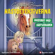 Mysteriet med hästviskaren