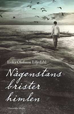 Någonstans brister himlen - Erika Olofsson Liljedahl.