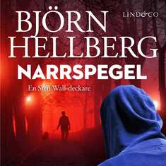 Narrspegel