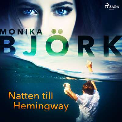 Natten till Hemingway - Monika Björk.