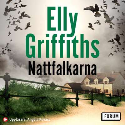 Nattfalkarna - Elly Griffiths.