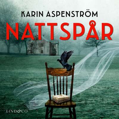 Nattspår - Karin Aspenström.