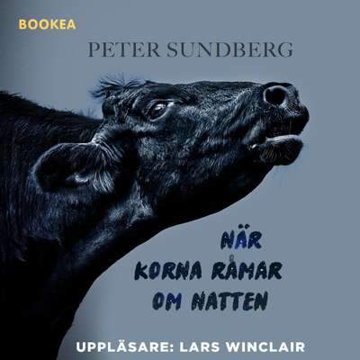 När korna råmar om natten - Peter Sundberg.