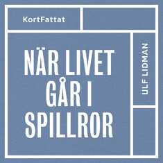 När livet går i spillror – Om sorg och livskriser