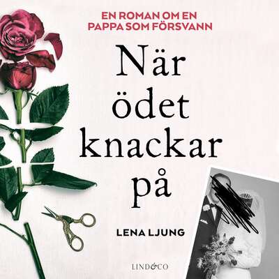 När ödet knackar på - Lena Ljung.