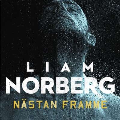 Nästan framme - Liam Norberg.