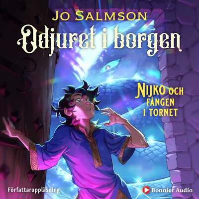 Nijko och fången i tornet - Jo Salmson.