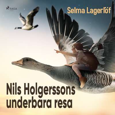 Nils Holgerssons underbara resa - Selma Lagerlöf.