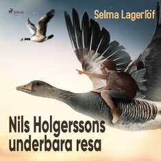 Nils Holgerssons underbara resa