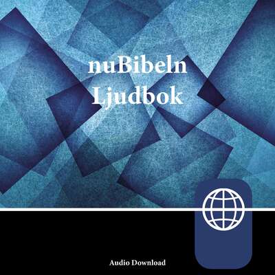 nuBibeln, Audio Download - Zondervan.