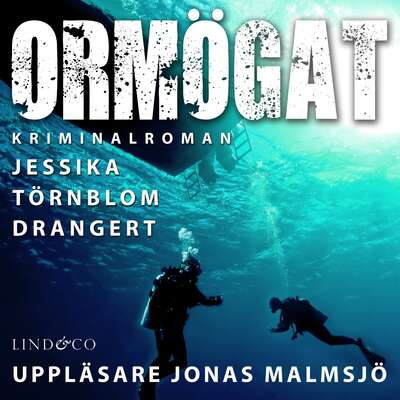 Ormögat - Jessika Törnblom Drangert.