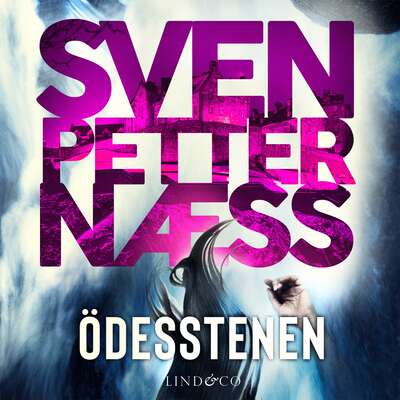 Ödesstenen - Sven Petter Næss.