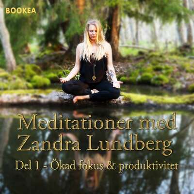 Ökad Fokus & produktivitet - Zandra Lundberg.