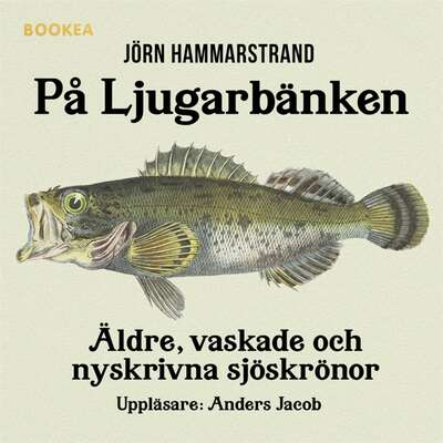 På ljugarbänken - Jörn Hammarstrand.