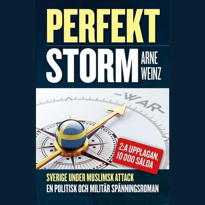 Perfekt storm - Arne Weinz.